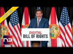 Read more about the article Gov Ron DeSantis Crushes Big Tech With New ‘Bill Of Rights’