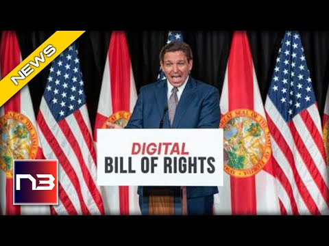You are currently viewing Gov Ron DeSantis Crushes Big Tech With New ‘Bill Of Rights’
