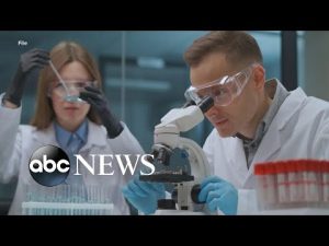 Read more about the article Researchers: 5th person cured of HIV after groundbreaking treatment | ABCNL