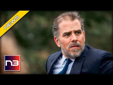 You are currently viewing Hunter Biden: LIFE-CHANGING Moment As District of Columbia Bar Drops The Hammer