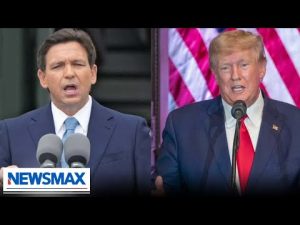 Read more about the article DeSantis and Trump are doing a great job: Kim Klacik | American Agenda