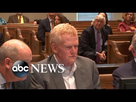 You are currently viewing Witnesses: Alex Murdaugh’s voice ‘100 percent’ heard at murder scene