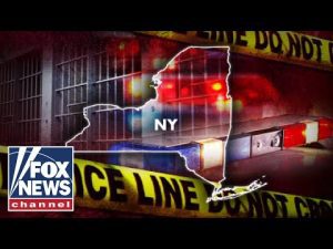 Read more about the article NYC cracks down on mace purchases as crime skyrockets