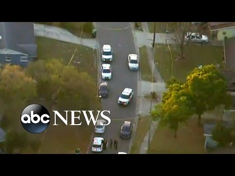 You are currently viewing Girl and TV journalist killed in Florida shooting spree