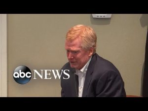 Read more about the article ‘I did not kill my wife or son’: Alex Murdaugh takes the stand | ABCNL