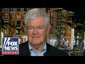 Read more about the article Newt Gingrich: This policy is madness