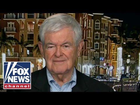 You are currently viewing Newt Gingrich: This policy is madness