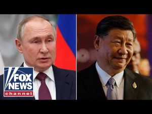 Read more about the article Could the world be seeing another Cold War style divide?