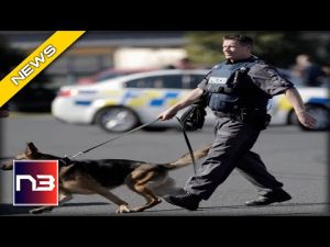 Read more about the article Breaking Alert: California Set To Be The First State To Ban Police K9s – Is This Racist?