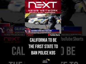 Read more about the article California To Ban RACIST Police Dogs #shorts