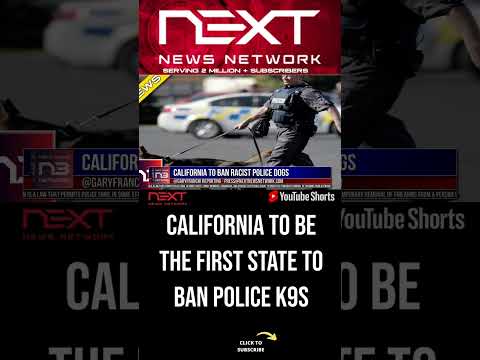 You are currently viewing California To Ban RACIST Police Dogs #shorts