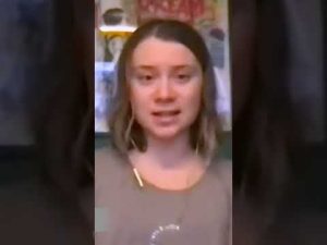 Read more about the article What Greta Thunberg Really Wants