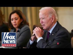 Read more about the article Karl Rove: It’s likely someone it going to challenge Biden