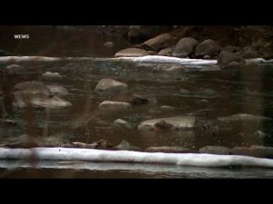 Read more about the article EPA begins testing ground water after toxic Ohio train derailment | ABCNL