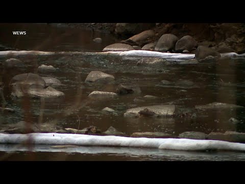 You are currently viewing EPA begins testing ground water after toxic Ohio train derailment | ABCNL