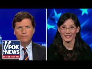 Read more about the article Chinese virologist tells Tucker COVID-19 ‘was not an accident’