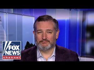 Read more about the article It was obvious this came from a lab: Sen. Ted Cruz