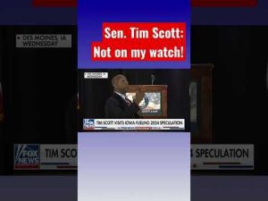 Read more about the article Sen. Tim Scott SHREDS politicians using race to ‘create a wedge’ #shorts