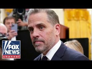 Read more about the article Trey Gowdy on Hunter Biden laptop claims: This makes zero sense