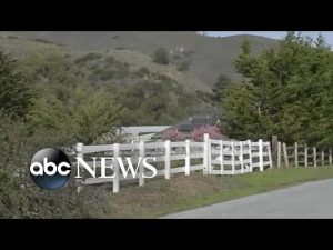 Read more about the article Mom fights off mountain lion