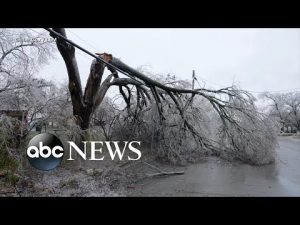 Read more about the article At least 19 states under alert as brutal temperatures grip Northeast