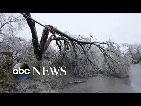 You are currently viewing At least 19 states under alert as brutal temperatures grip Northeast