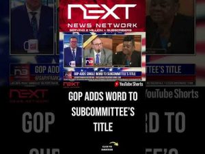 Read more about the article GOP Adds Single Word to Subcommittee’s Title #shorts