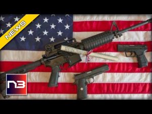Read more about the article Florida Gun Owners CHEER after Knowing which Bill Was Just Introduced in the State’s Legislature