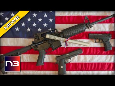 You are currently viewing Florida Gun Owners CHEER after Knowing which Bill Was Just Introduced in the State’s Legislature