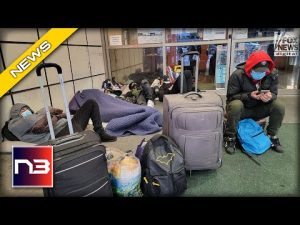 Read more about the article ALERT: Migrants March Against NYC Plan to Transfer From Luxury Hotel to Subpar Shelter!
