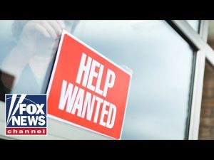 Read more about the article Why men are dropping out of the workforce: Mikhaila Peterson