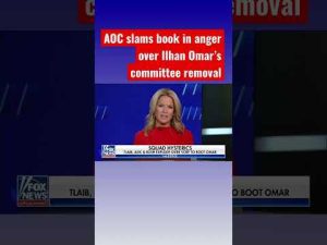 Read more about the article ‘Squad’ had meltdown after Ilhan Omar booted from committee #shorts