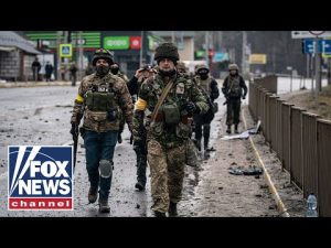 Read more about the article Poland’s role in the Russia-Ukraine war is ‘absolutely crucial’: Polish ambassador