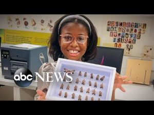 Read more about the article Yale University honors 9-year-old girl reported to police over lanternfly project | WNT