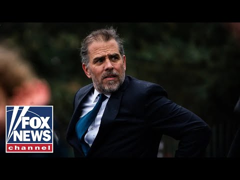 You are currently viewing Hunter Biden’s lawyers requesting a criminal investigation is ‘oddly coincidental’: Rep. Biggs