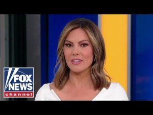 Read more about the article The balloon was a middle finger to America: Lisa Boothe