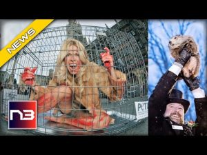 Read more about the article PETA Proposes Insane Swap: A Caged ‘Human’ For Groundhog Day!