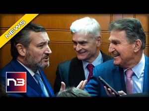 Read more about the article Must See Video! Senators Manchin & Cruz Unite To Fight Biden’s Ban On Gas Stoves