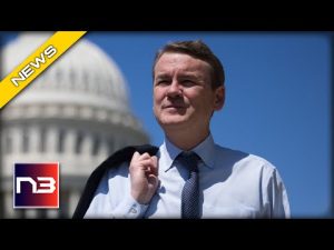 Read more about the article Startling Moves By Senator Could Lead to Complete Removal Of TikTok From Markets
