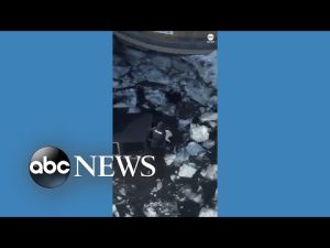 Read more about the article Man, dog rescued from icy waters