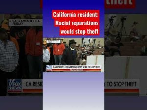Read more about the article California resident: Racial reparations would stop our children from busting into liquor stores