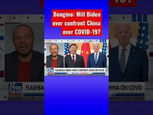Read more about the article Dan Bongino TORCHES Biden admin: ‘These clowns!’ #shorts