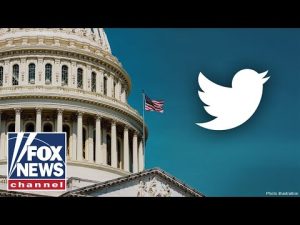 Read more about the article Twitter files hearing: Matt Taibbi warns about government looking for info on reporters