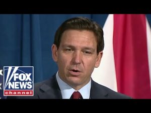 Read more about the article Ron DeSantis goes off on mainstream media ‘hoax’