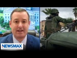 Read more about the article Cartels are TERRORISTS that should be dealt with militarily: Charles Marino | Saturday Report
