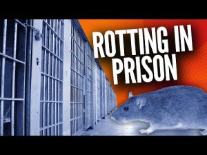 Read more about the article Attorney Joe McBride Details the DEPLORABLE Conditions the Jan 6 Defendants Are Battling in DC Jail