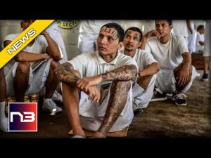 Read more about the article Inside Look At The New Facility That Will House MS-13’s Most Dangerous Criminals