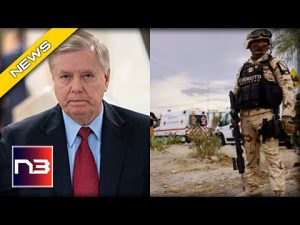 Read more about the article Graham’s Bill to Authorize Military Force Against Cartels Goes Viral