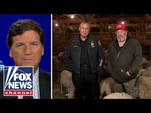 Read more about the article Tucker speaks with animal control officer who rescued sheep from slaughterhouse