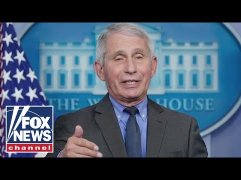 You are currently viewing CNN asks Fauci about Elon Musk’s call for him to be prosecuted